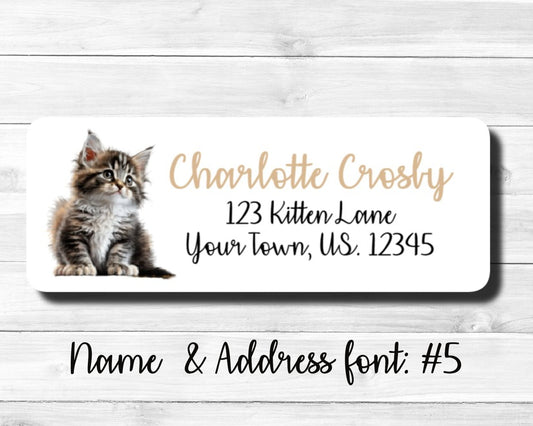 Cat Kitten Kitty Feline Orange Tom Cat Tabby House Cat Long Haired Cat Fluffy Cats Kittens Return Address Labels Sheet of 30