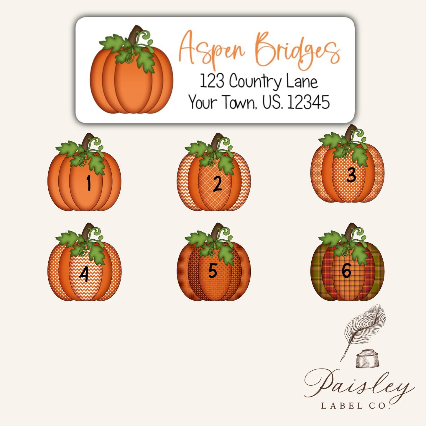 Autumn Fall Thanksgiving Pumpkin Gourd Return Address Labels Set of 30