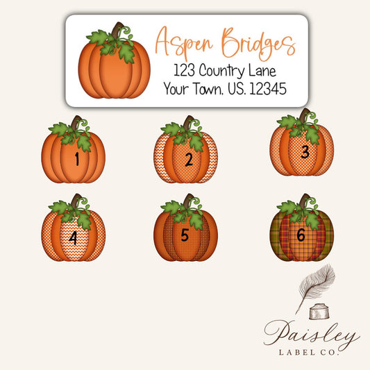Autumn Fall Thanksgiving Pumpkin Gourd Return Address Labels Set of 30